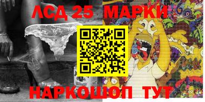 гидропоника Кингисепп