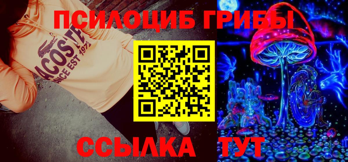 Псилоцибиновые грибы MAGIC MUSHROOMS  как найти закладки  Вход с VPN  Шебекино  Галлюциногенные грибы GOLDEN TEACHER 